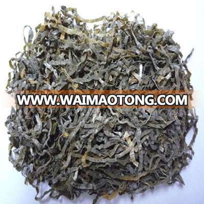 2017 New crop of Dried cut kelp, shredded seaweed laminaria japonica