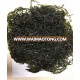 Machine Dried Kelp Cut Shredded Laminaria Seaweed